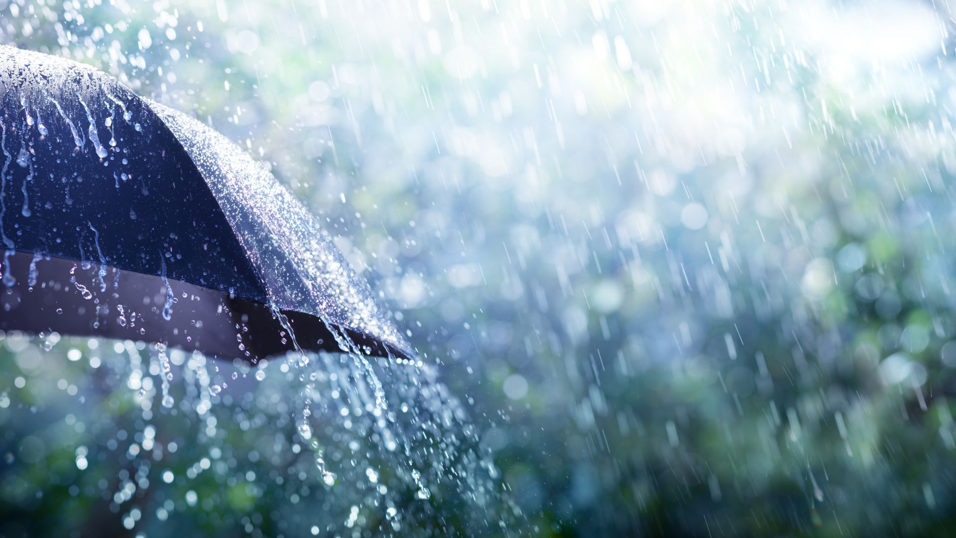 Featured image for “The Importance of Umbrella Insurance”